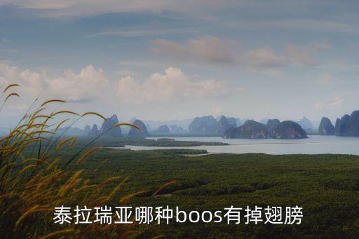 泰拉瑞亚哪种boos有掉翅膀