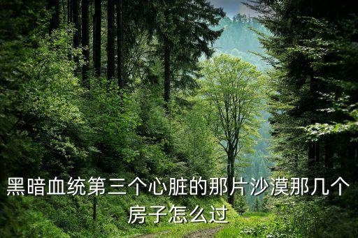 黑暗血统第三个心脏的那片沙漠那几个房子怎么过
