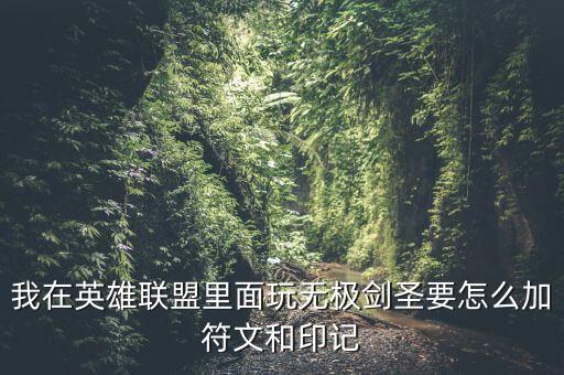 我在英雄联盟里面玩无极剑圣要怎么加符文和印记