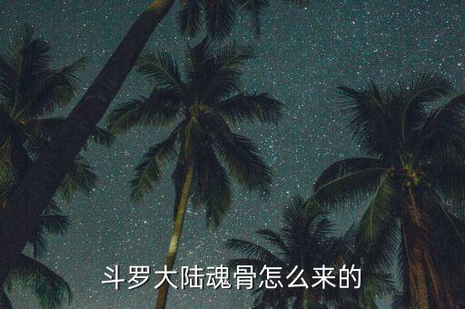 斗罗大陆魂骨怎么来的