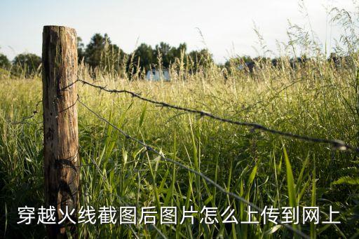 穿越火线截图后图片怎么上传到网上