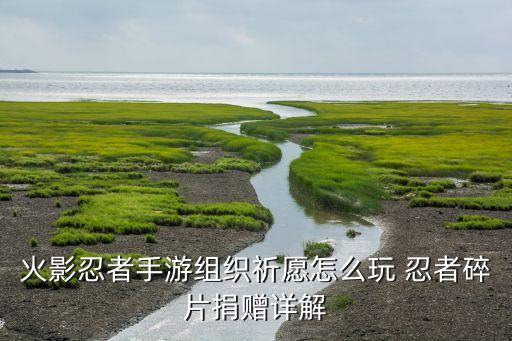 火影手游祈愿怎么给不了碎片，火影忍者手游组织的捐赠英雄碎片是什么时候重置还是等它被捐满