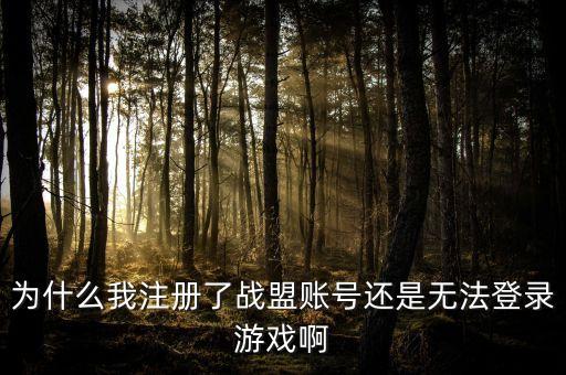 为什么我注册了战盟账号还是无法登录游戏啊