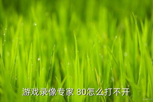 游戏录像专家 80怎么打不开