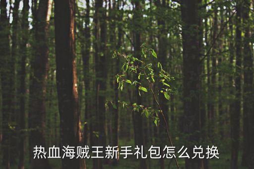 热血海贼王新手礼包怎么兑换