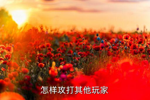 怎样攻打其他玩家