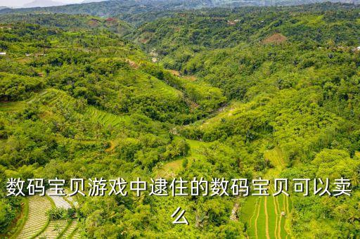数码宝贝手游怎么卖号，数码宝贝游戏中逮住的数码宝贝可以卖么
