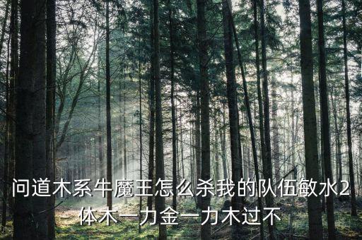 问道木系牛魔王怎么杀我的队伍敏水2体木一力金一力木过不