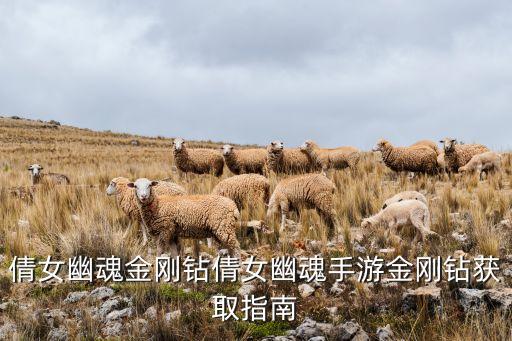 倩女幽魂金刚钻倩女幽魂手游金刚钻获取指南
