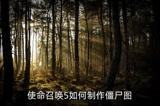 使命召唤5如何制作僵尸图