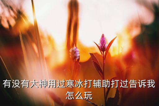 有没有大神用过寒冰打辅助打过告诉我怎么玩