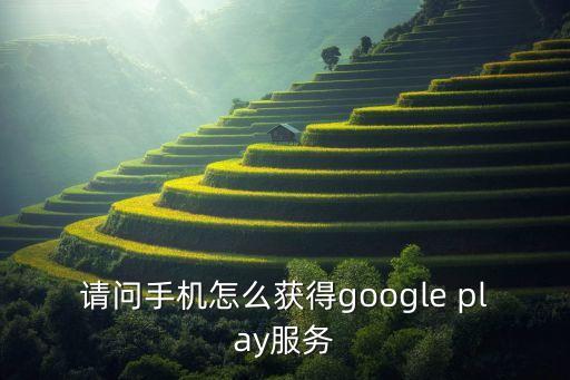 请问手机怎么获得google play服务