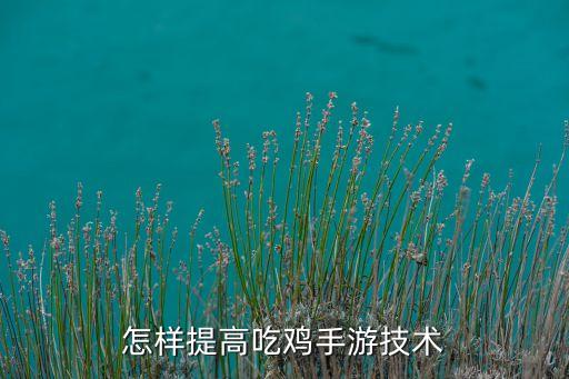 怎样提高吃鸡手游技术