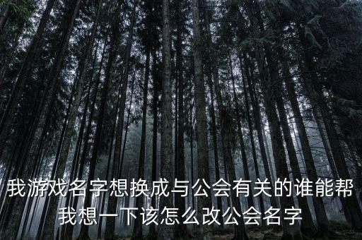我游戏名字想换成与公会有关的谁能帮我想一下该怎么改公会名字