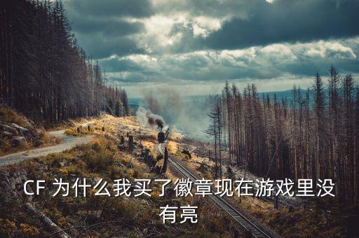 CF 为什么我买了徽章现在游戏里没有亮