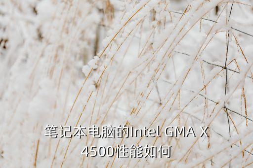 笔记本电脑的Intel GMA X4500性能如何