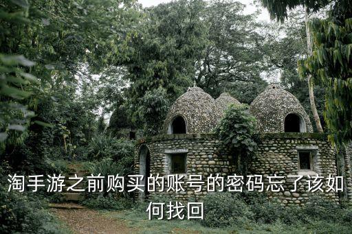 淘手游怎么找回以前注册过的号啊，淘手游之前购买的账号的密码忘了该如何找回
