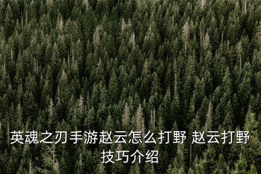 英魂之刃手游赵云怎么打野 赵云打野技巧介绍