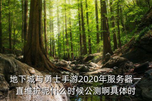 地下城与勇士手游2020年服务器一直维护呢什么时候公测啊具体时