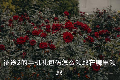 征途2的手机礼包码怎么领取在哪里领取