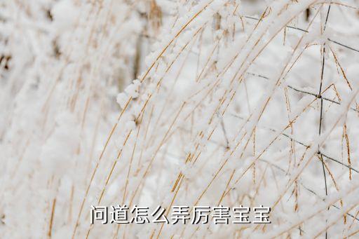 问道怎么弄厉害宝宝
