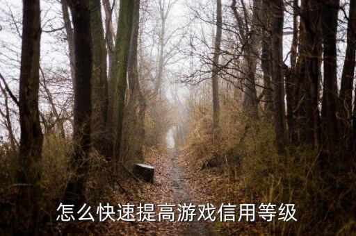 怎么快速提高游戏信用等级