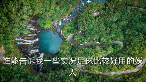 谁能告诉我一些实况足球比较好用的妖人