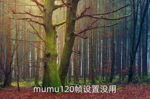 mumu手游助手怎么显示帧率，cemu hook怎么显示帧数