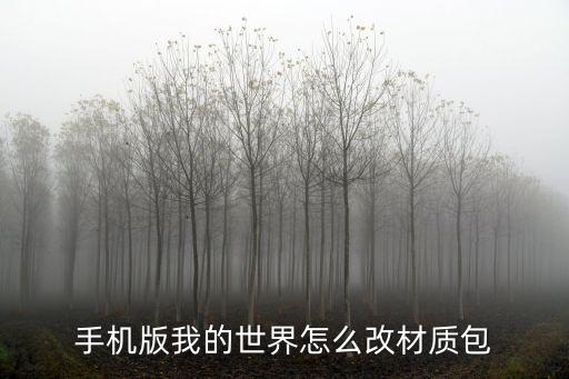 手机版我的世界怎么改材质包