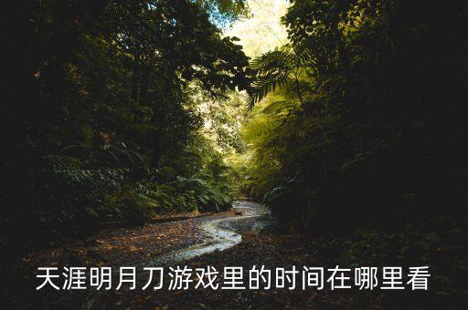 天涯明月刀游戏里的时间在哪里看