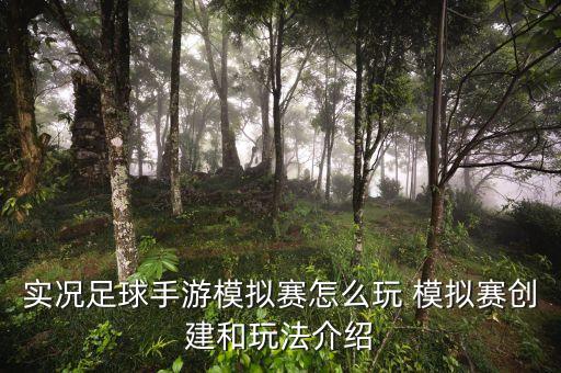 实况手游比赛模式怎么玩，安卓实况足球2011的具体操作方式和各种游戏模式全英文看不懂