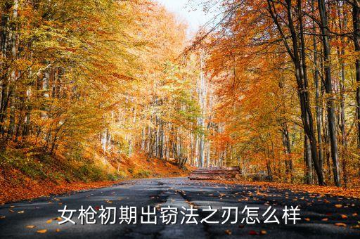 女枪初期出窃法之刃怎么样