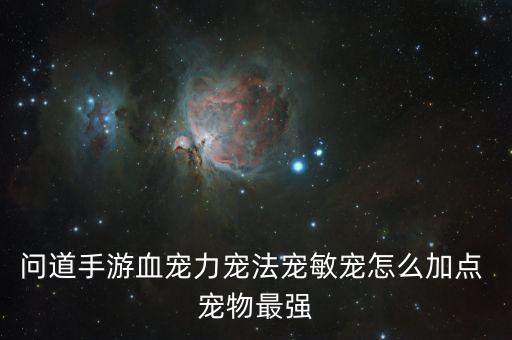 问道手游血宠力宠法宠敏宠怎么加点 宠物最强