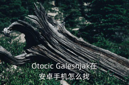 Otocic Galesnjak在安卓手机怎么找