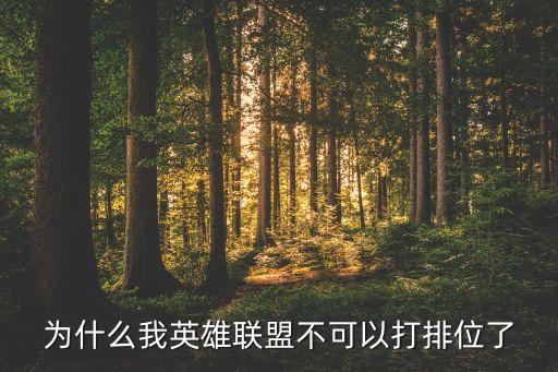 为什么我英雄联盟不可以打排位了