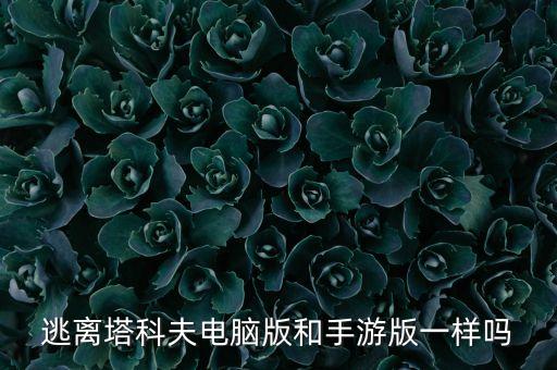 电脑版逃离塔科夫手游怎么下载，游民星空网站怎样下载游戏在电脑