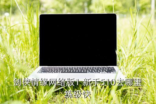 剑侠情缘网络版1 新手510去哪里练级快