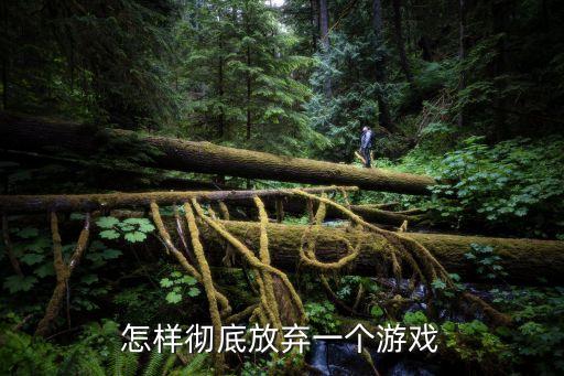 怎样彻底放弃一个游戏