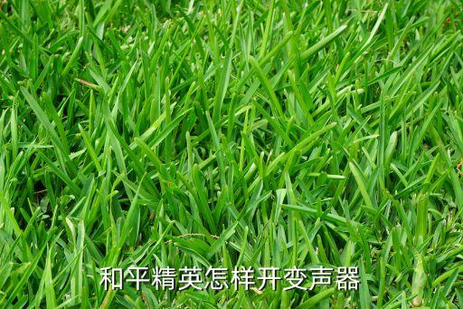 和平精英怎样开变声器