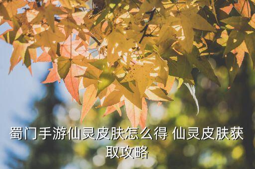 蜀门手游仙灵皮肤怎么得 仙灵皮肤获取攻略