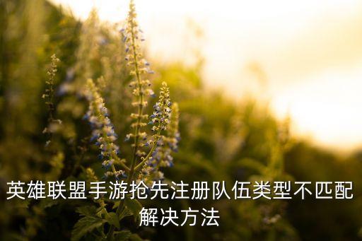 最新联盟手游怎么绑定掌盟，英雄联盟手游抢先注册队伍类型不匹配解决方法