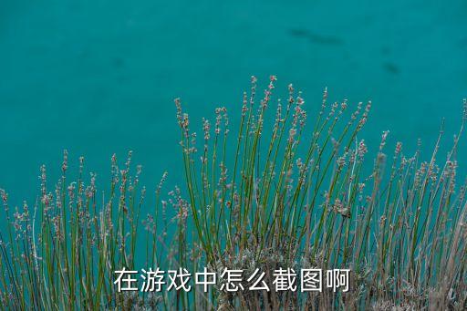 巨兽战场手游怎么截图啊，在游戏中怎么截图啊