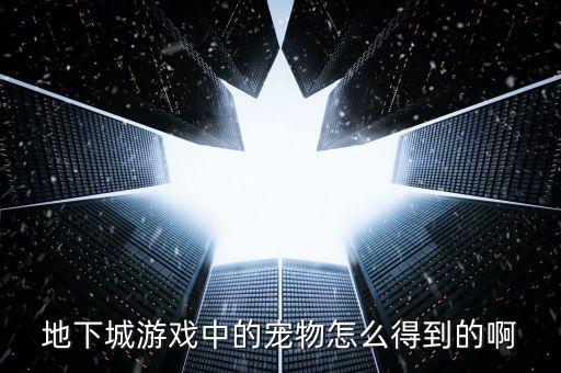 地下城游戏中的宠物怎么得到的啊