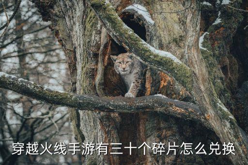 穿越火线手游有三十个碎片怎么兑换