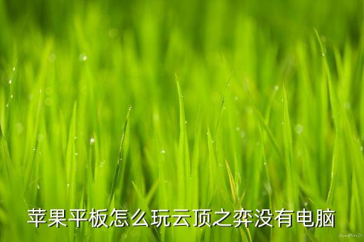 苹果平板怎么玩云顶之弈没有电脑