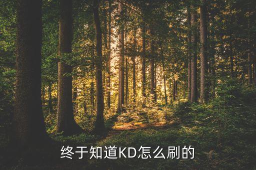 终于知道KD怎么刷的