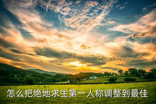 手游吃鸡第一人称怎么换，怎么把绝地求生第一人称调整到最佳