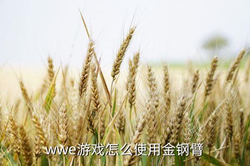 wwe游戏怎么使用金钢臂