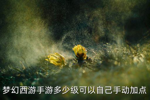 梦幻西游手游多少级可以自己手动加点