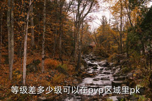 等级差多少级可以在pvp区域里pk